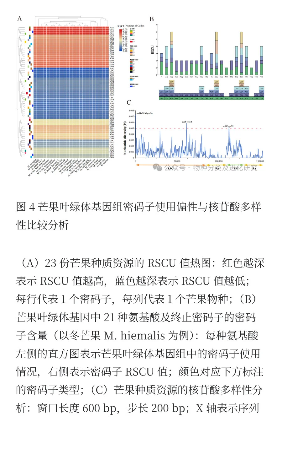 叶绿体基因组揭示芒果属较低的遗传变异率