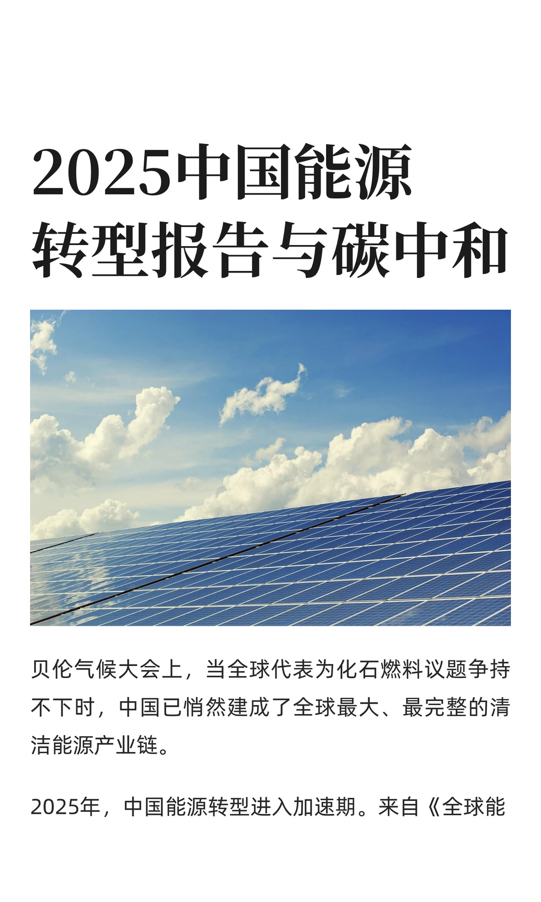 2025中国能源转型报告与碳中和