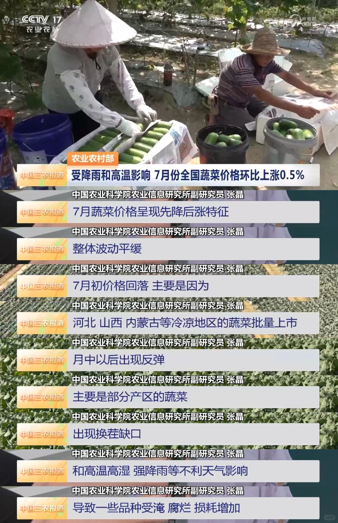 2025年8月1日农业新闻摘录。