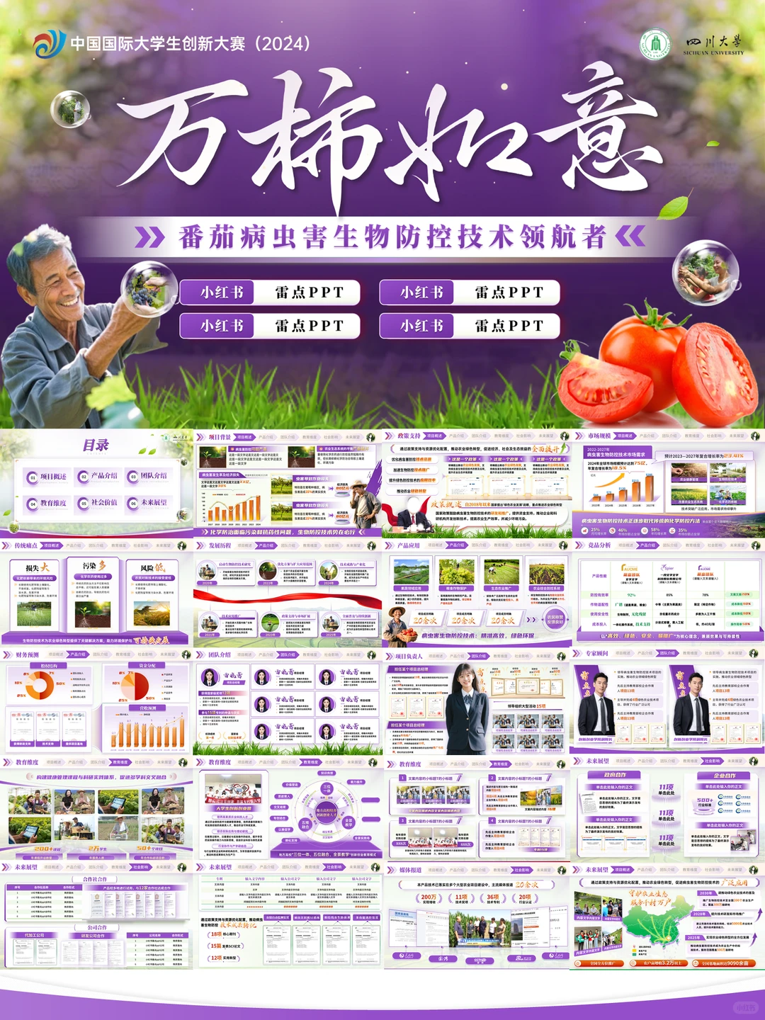 挑战杯农业类，葡萄种植等PPT模板?