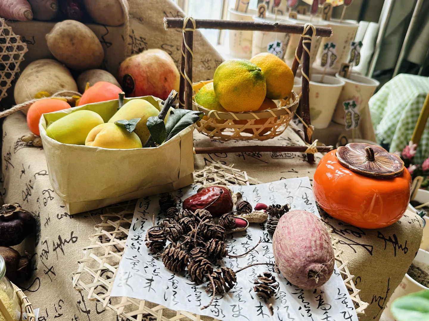 幼儿园秋季植物角——晒秋、秋收冬藏