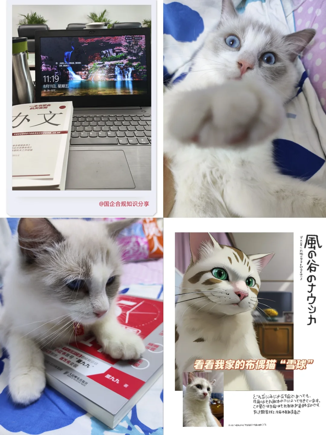 国企合规｜国有企业招标管理办法‼️