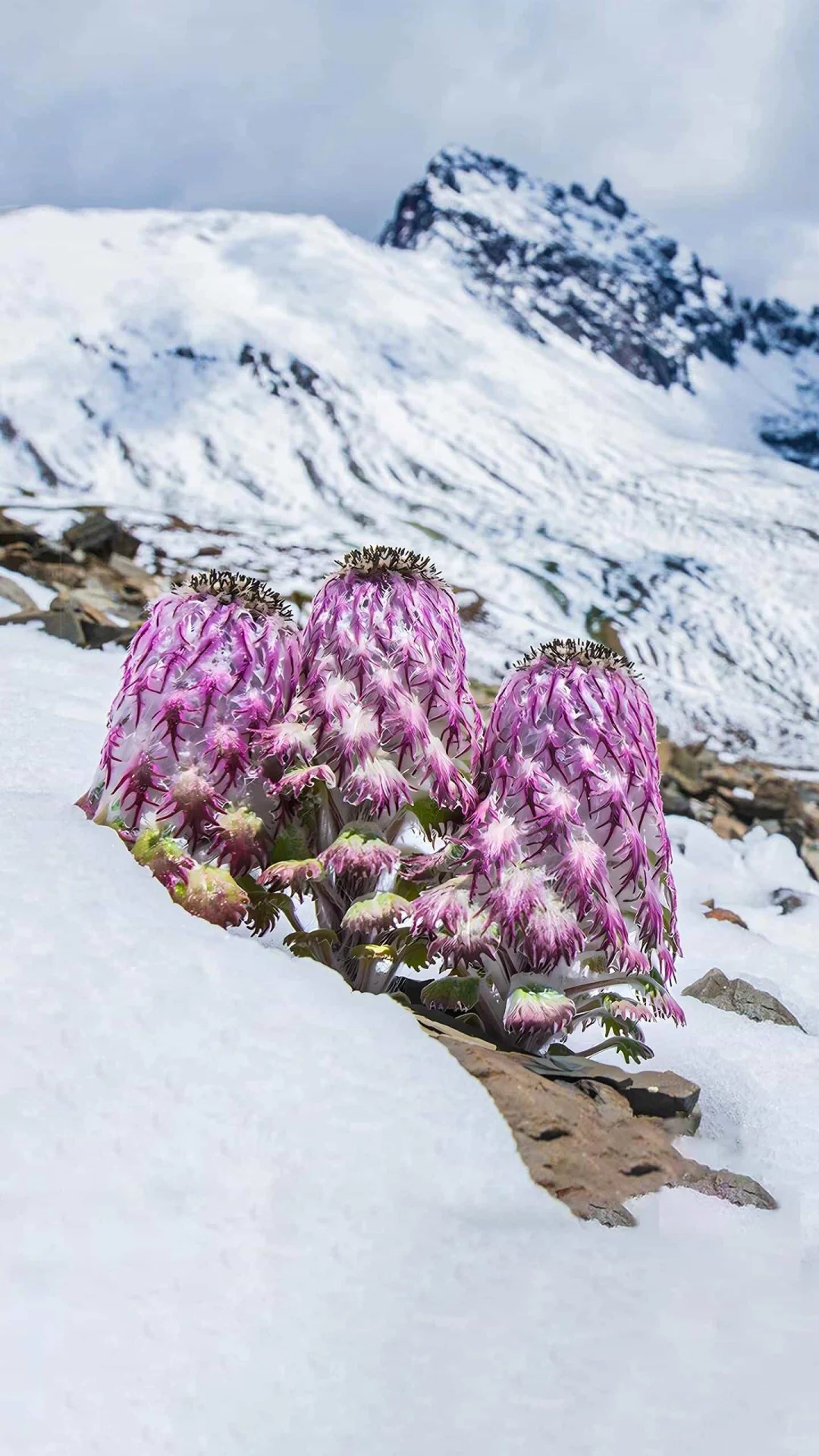 国有企业廉洁风险防控完全手册（128页）