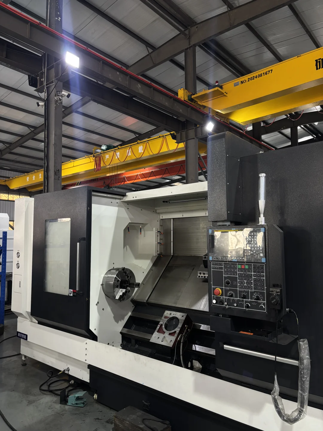 《重生第二天之老板让我去“摸鱼”》