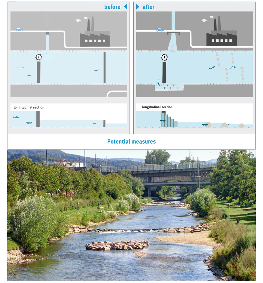 与水共舞：河流生态修复的美好愿景
