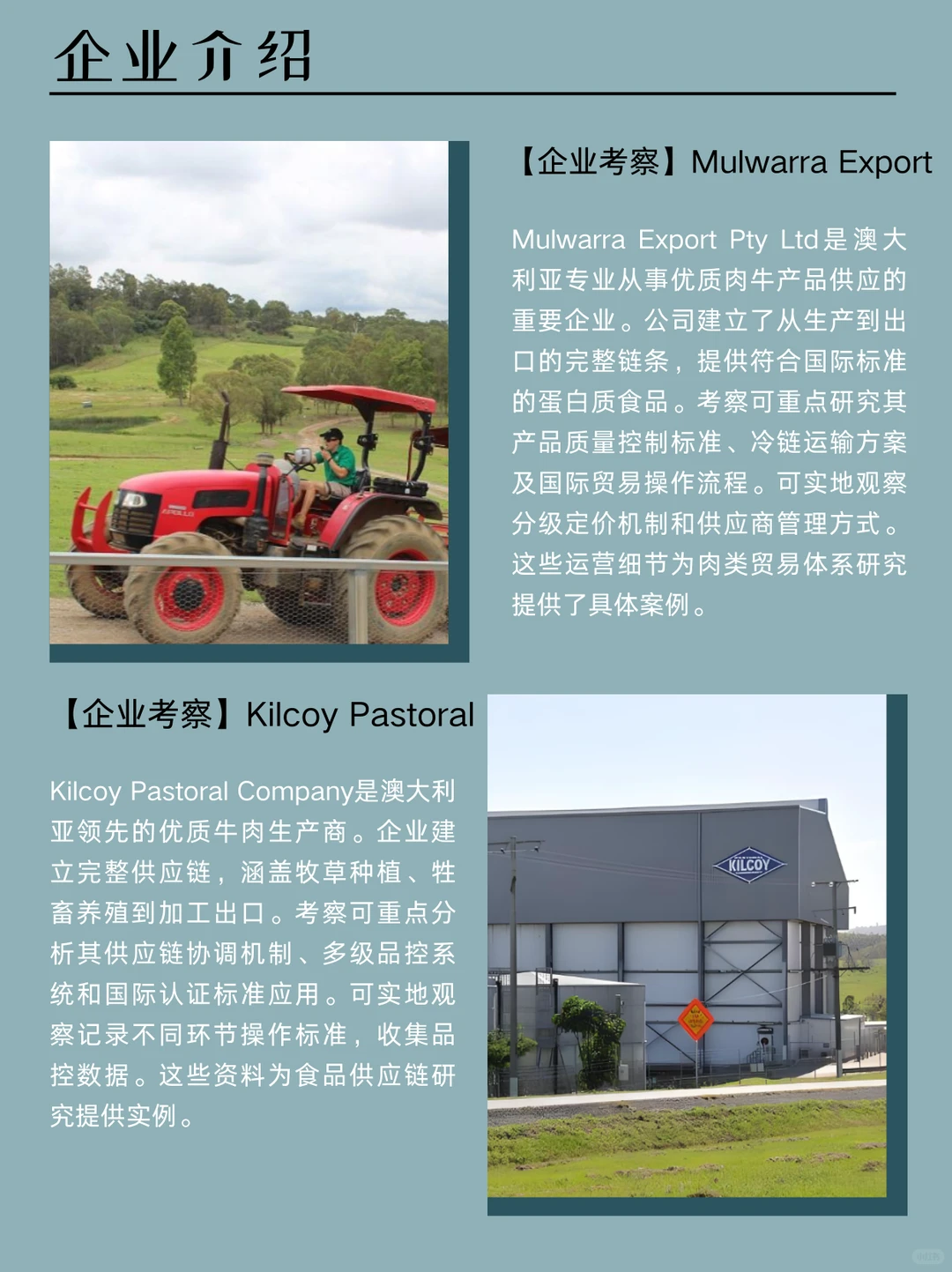 澳洲标杆牧業：百年传承与科技养殖融和