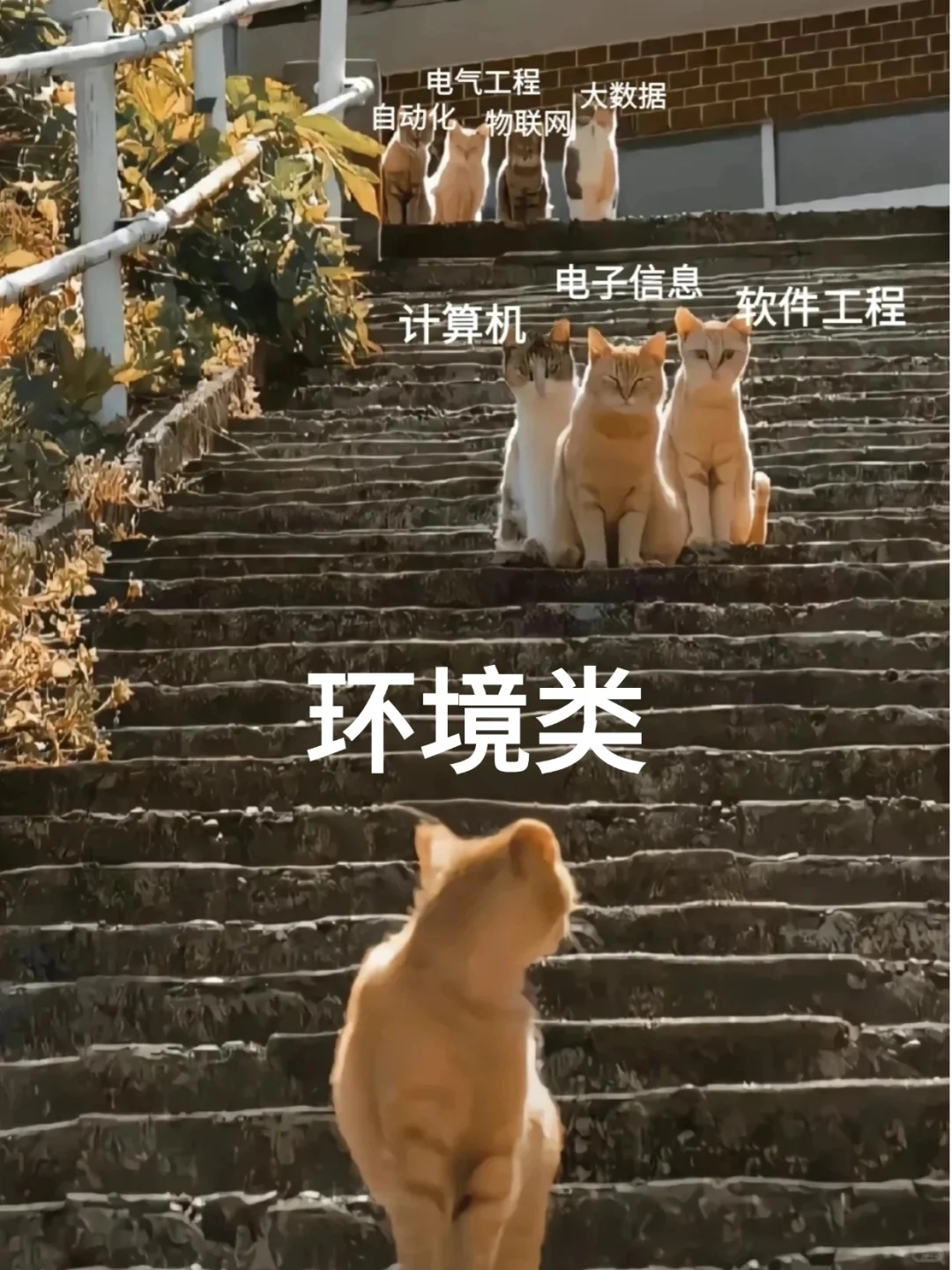 明显感觉环境类专业的新风口来了...