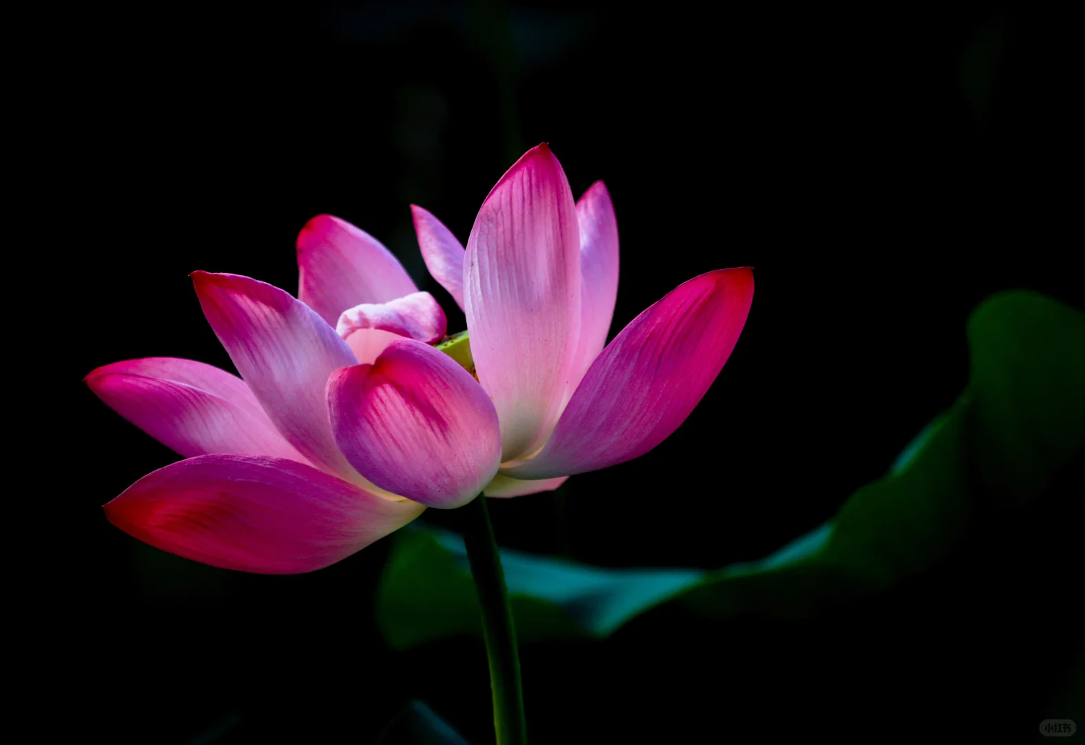 电价“看得懂”的那一天，真的来了？