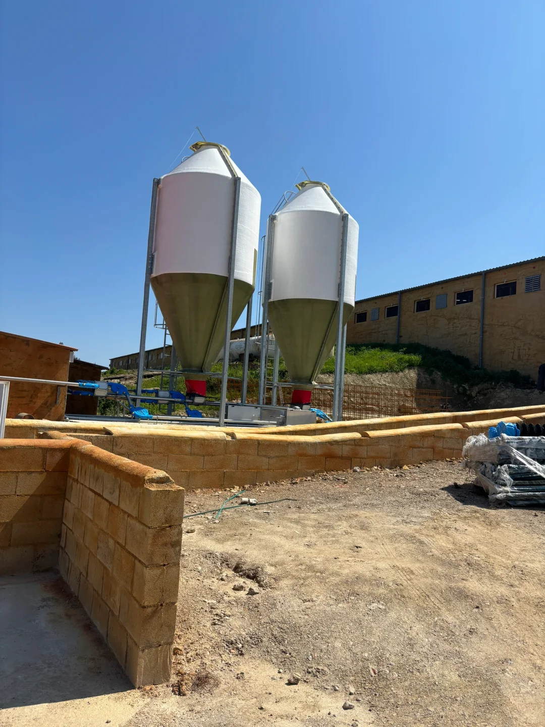 人生第一次进猪场，我不一样的翻译经历