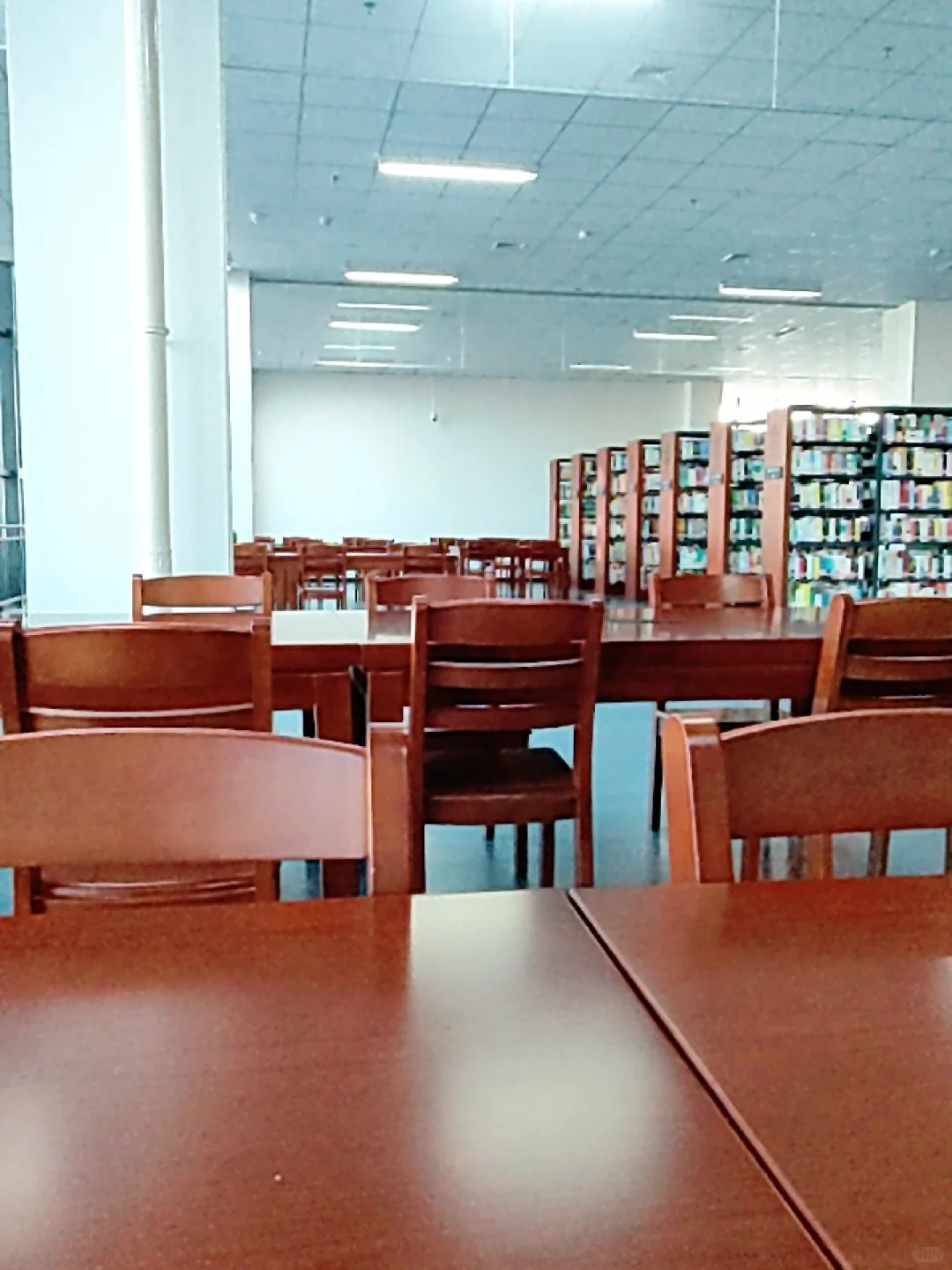 你们大专的图书馆也是这样的么