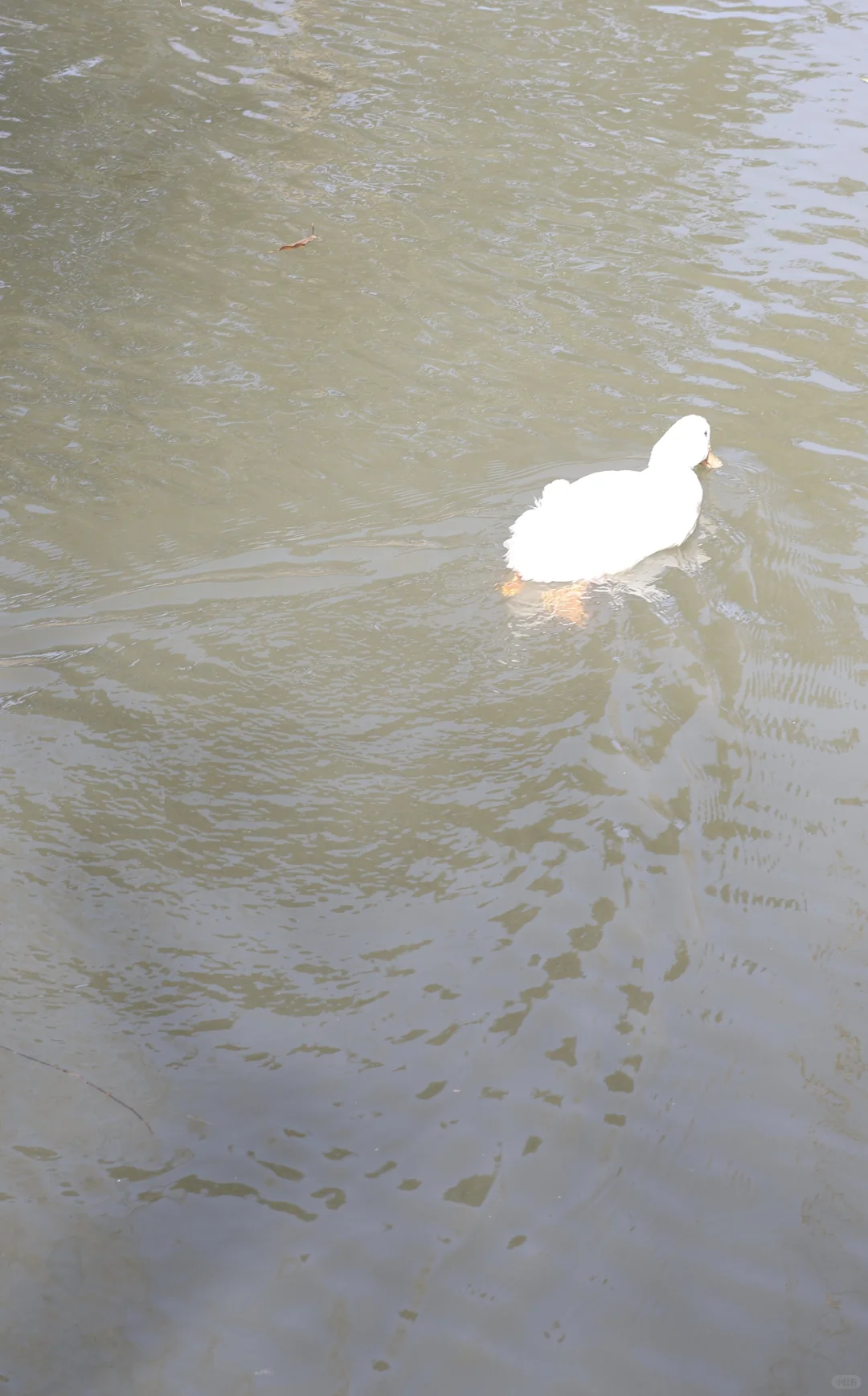 这算废片拯救成功吗