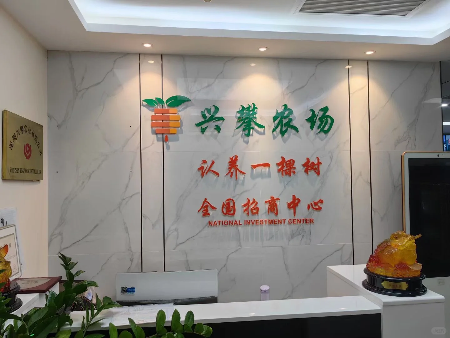 种一棵树?，收获一年果实?