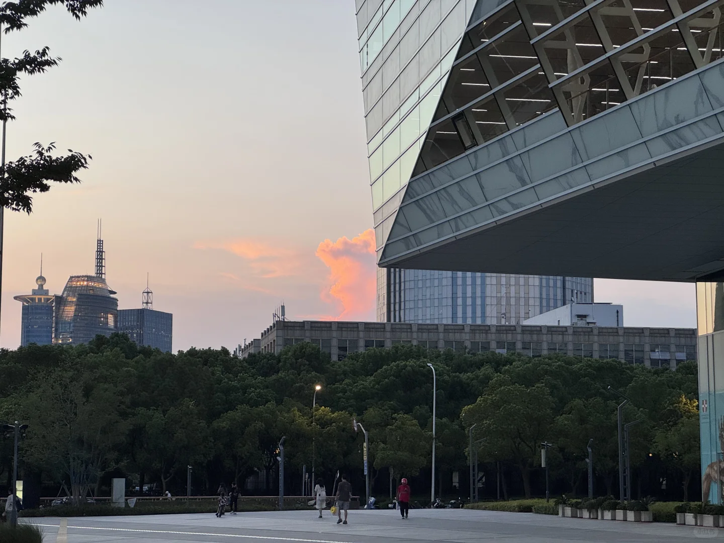 喜欢“阳光”的图书馆