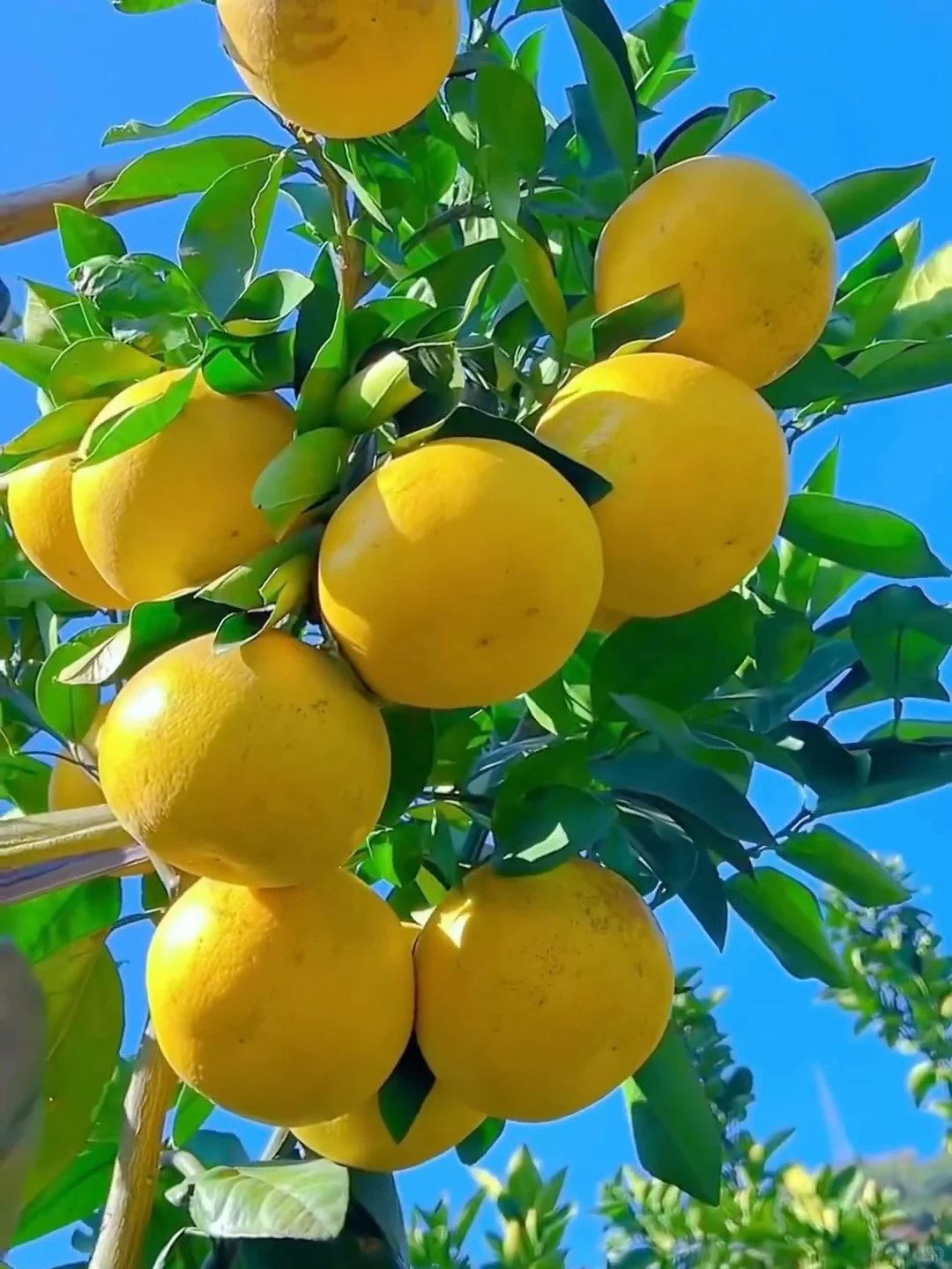 原本是想买一个尝鲜，结果就停不下来了????