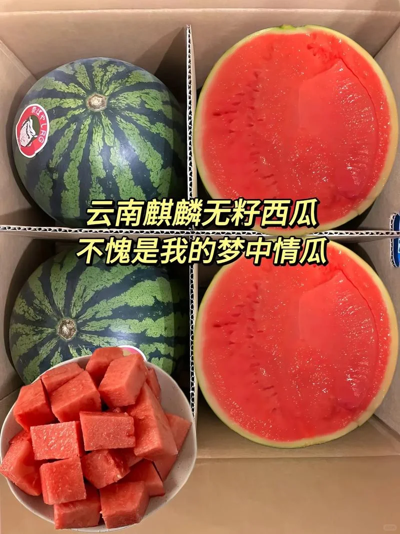今年西瓜行情：麒麟西瓜多少钱一斤正常？