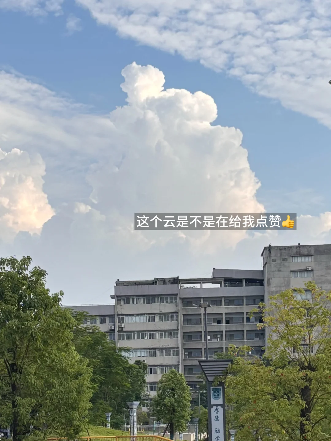 广财大四感觉自己度过了一个真正的大学?