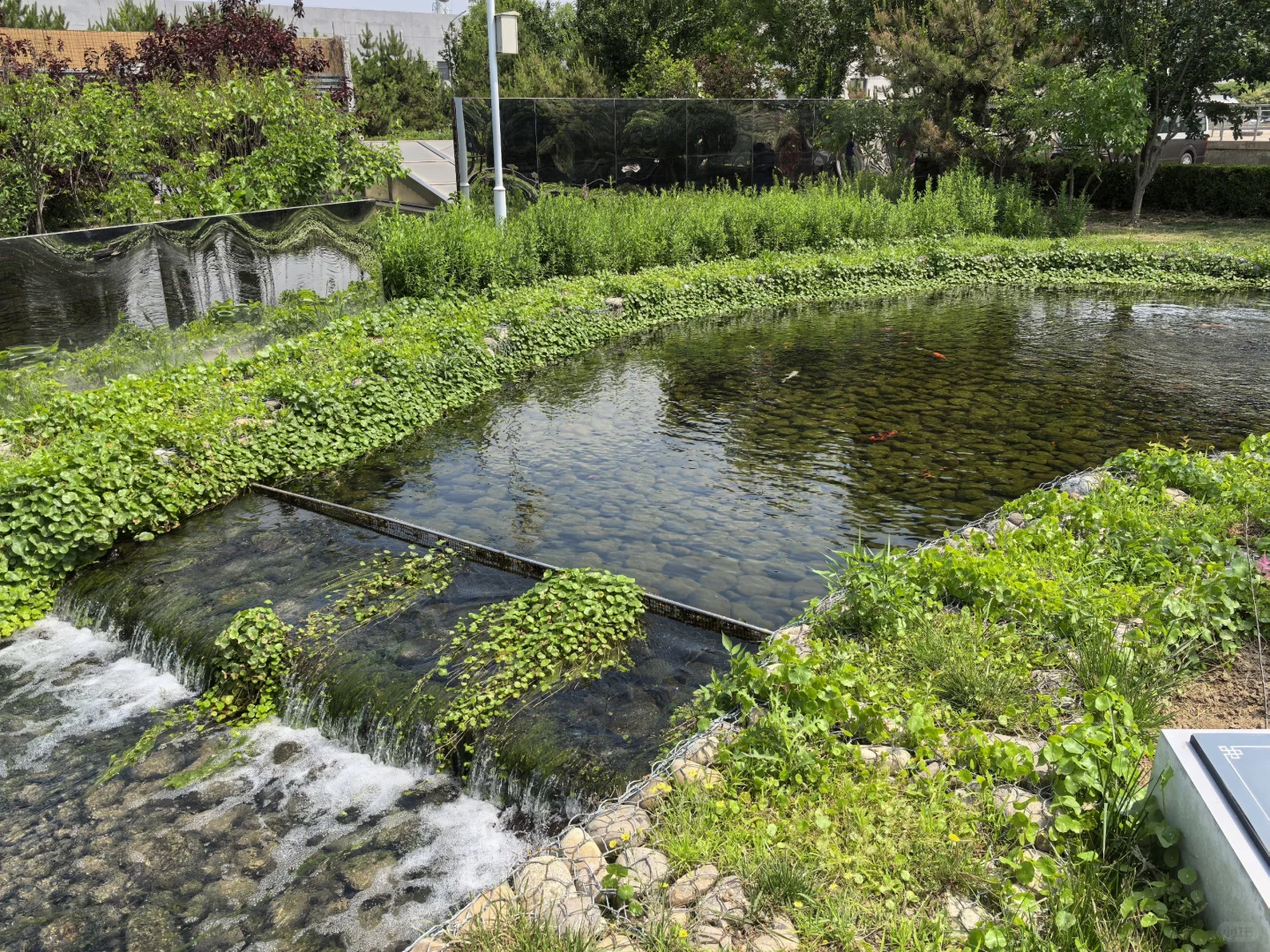 这不是公园，是污水处理厂