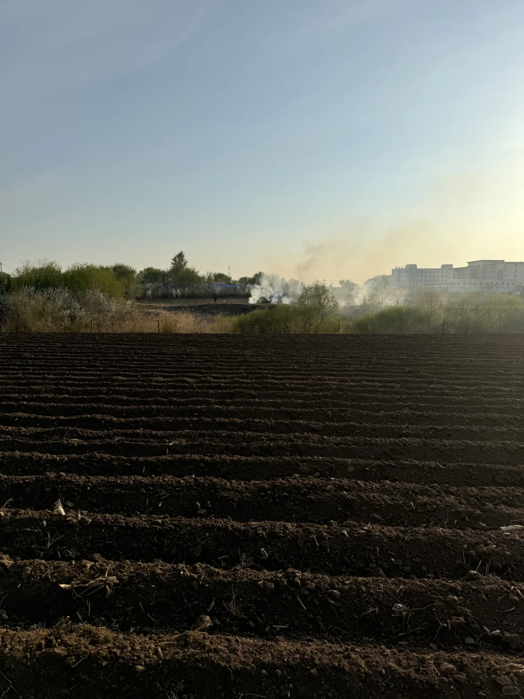 南方人见到了真正的黑土地