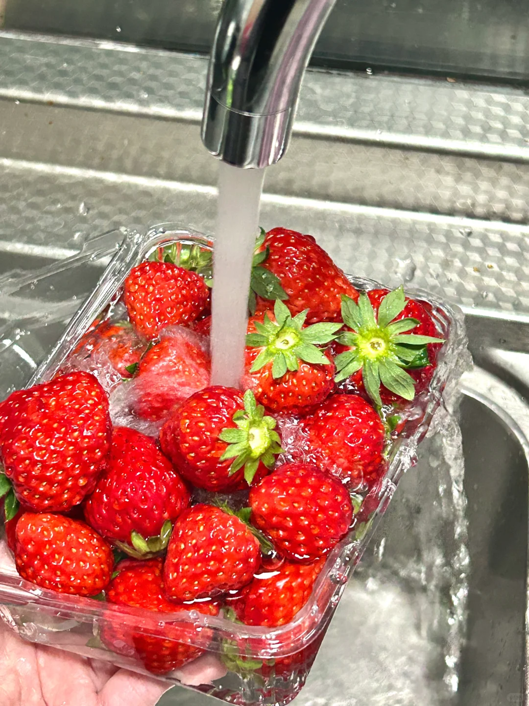 想看看你们相册里的草莓?