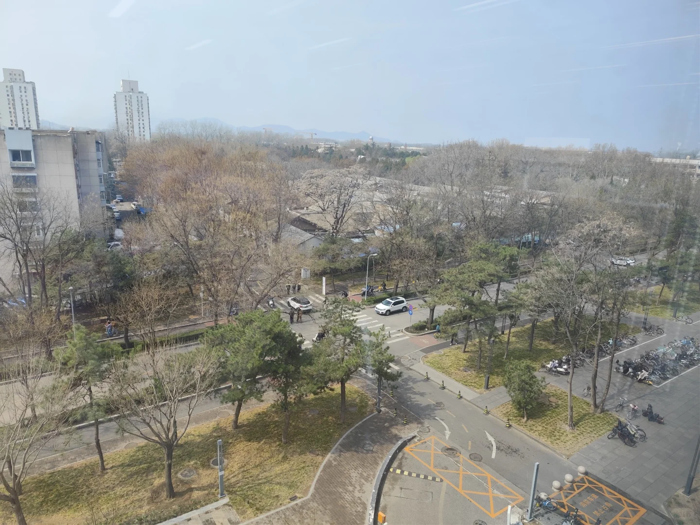 清华大学里最舒服的图书馆！