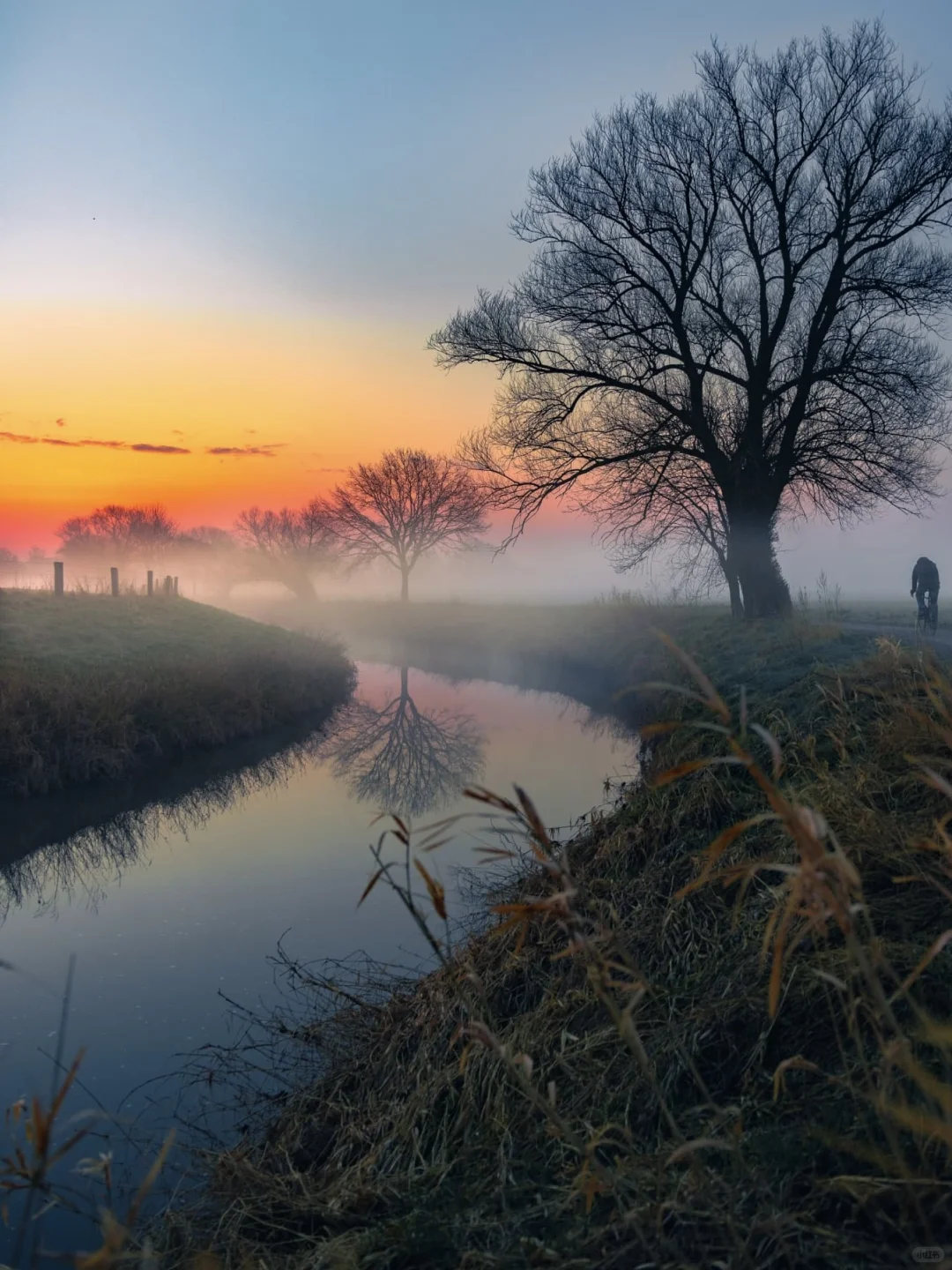 ☀️国际清洁能源日｜ZOO的100个自然日?