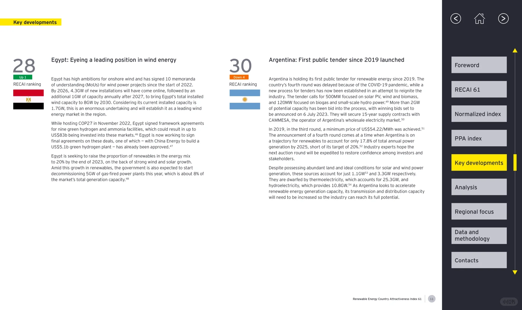 可再生能源国家吸引力指数(英文版)