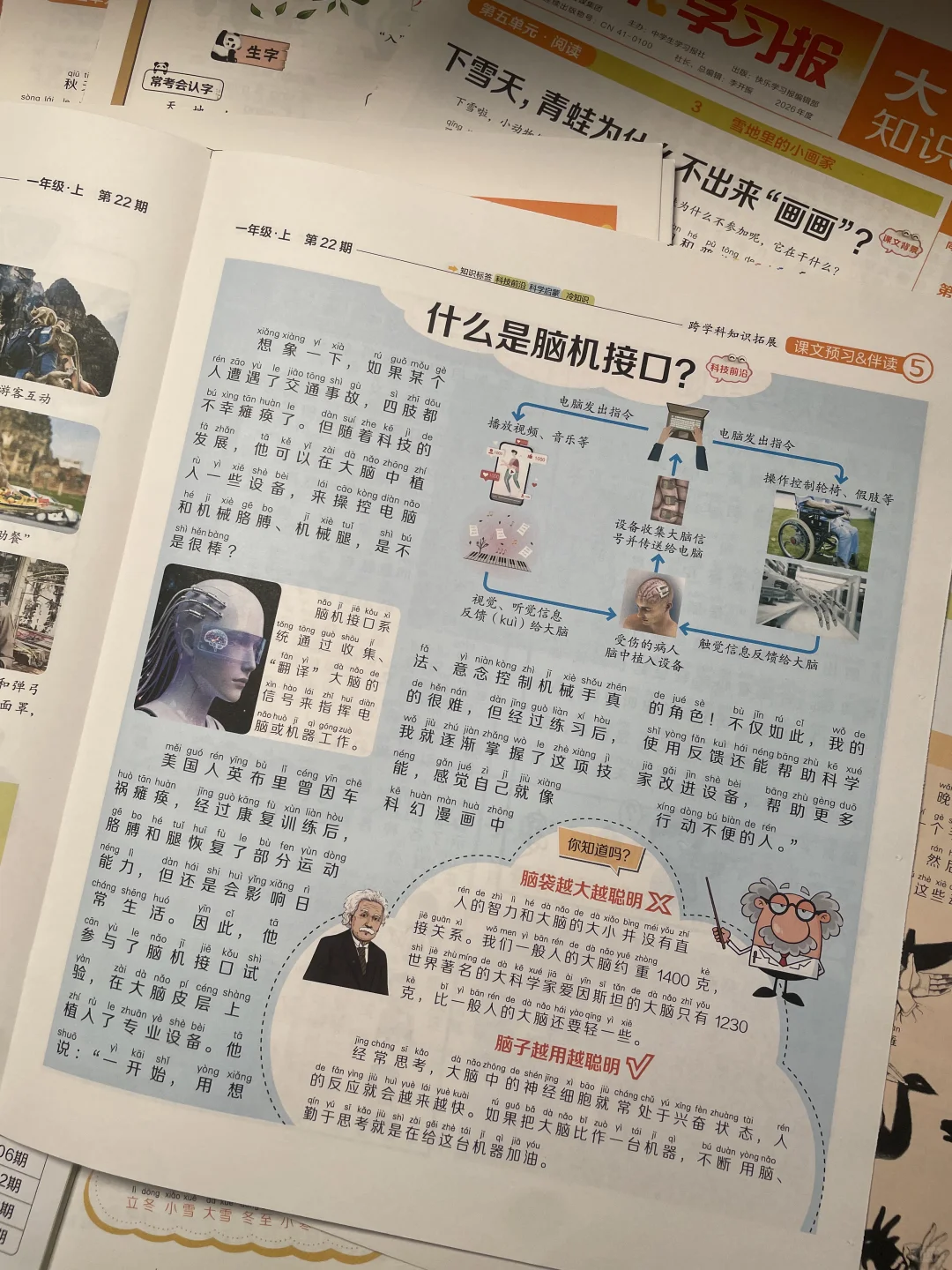 一年级小学生 语文阅读拓展