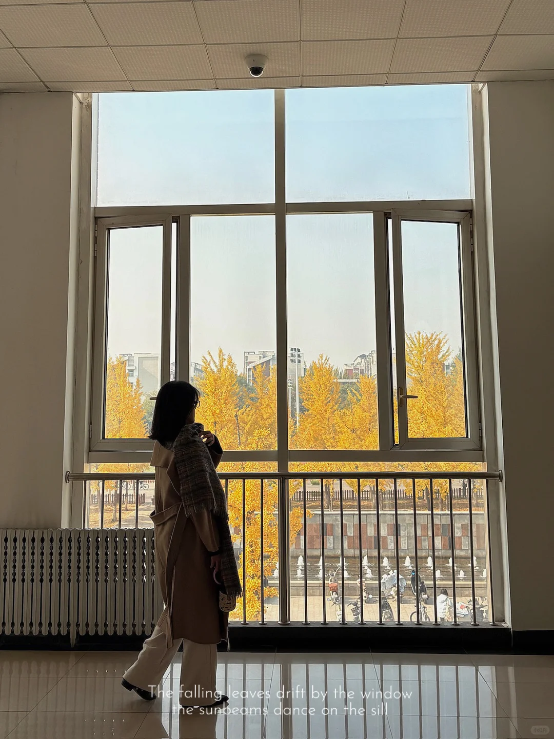 北理图书馆｜你有这样的美景留住我?