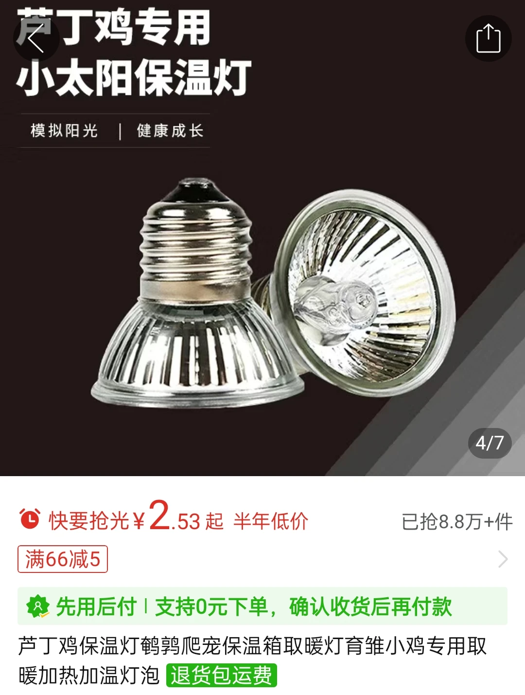 养小鸡新手攻略