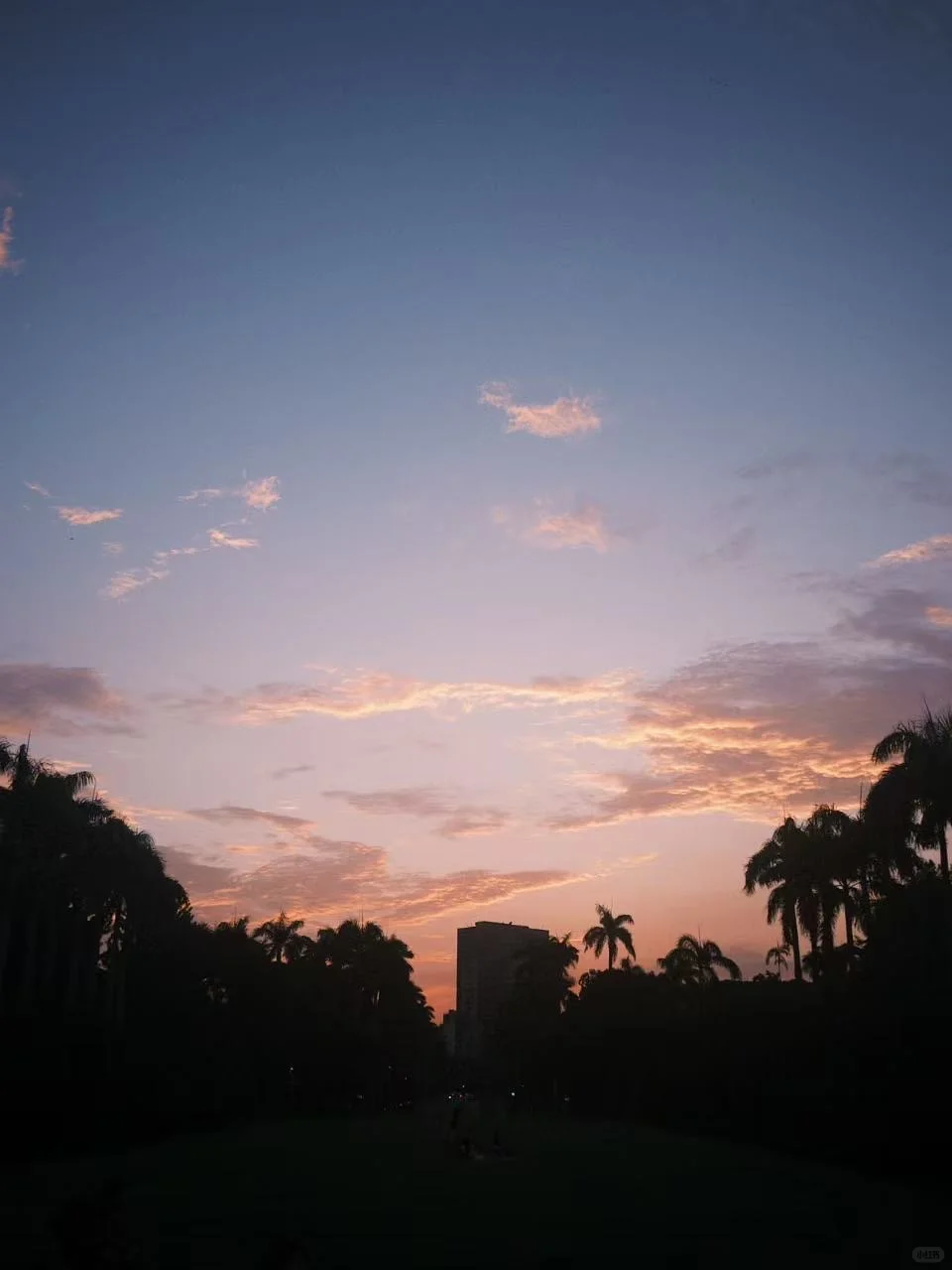 台湾交换｜台大图书馆泡馆指南