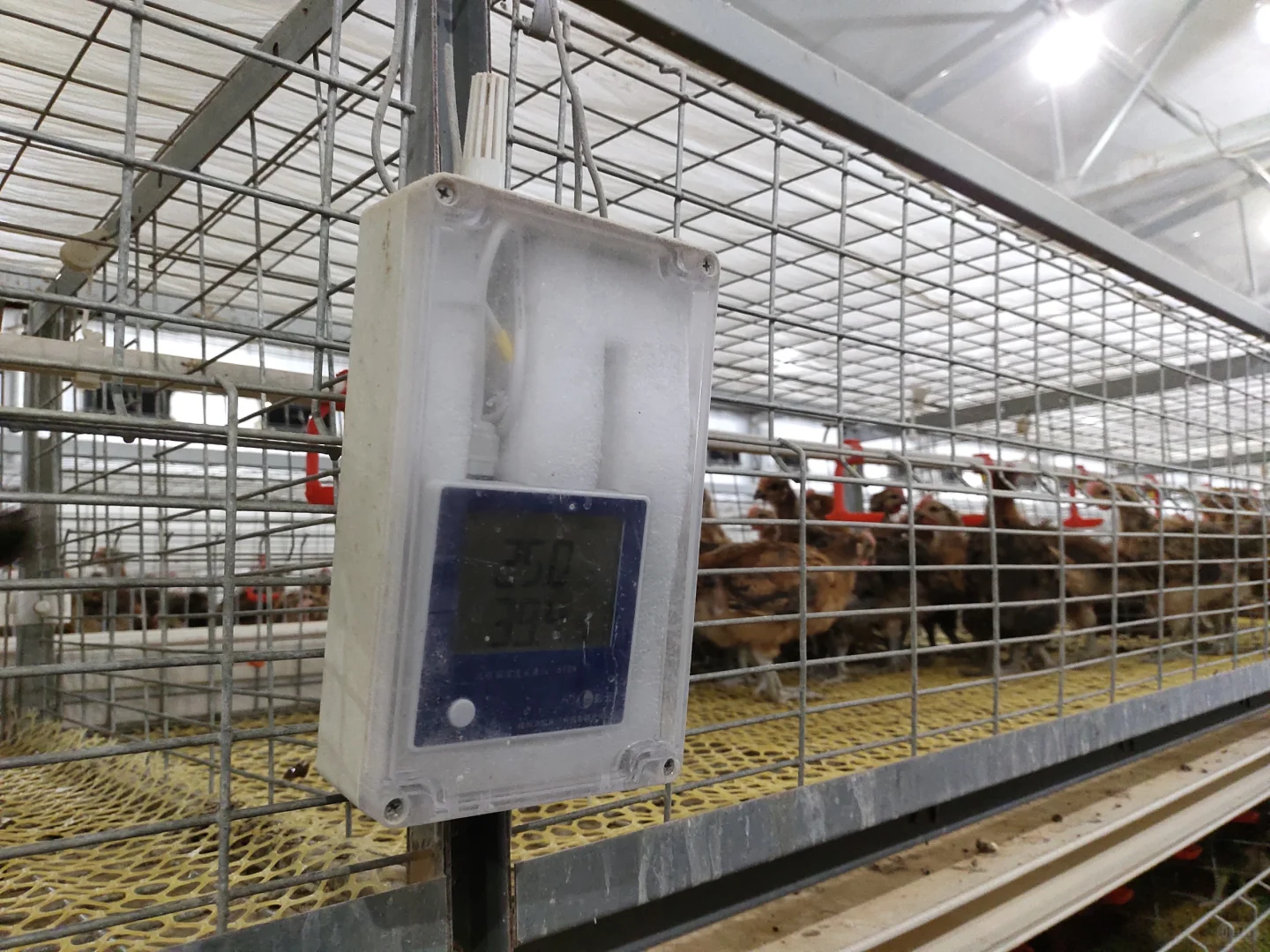 养殖场必备神器曝光！