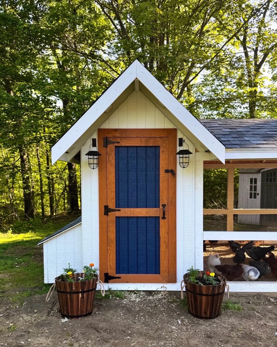 养鸡人必看！鸡舍设计分享