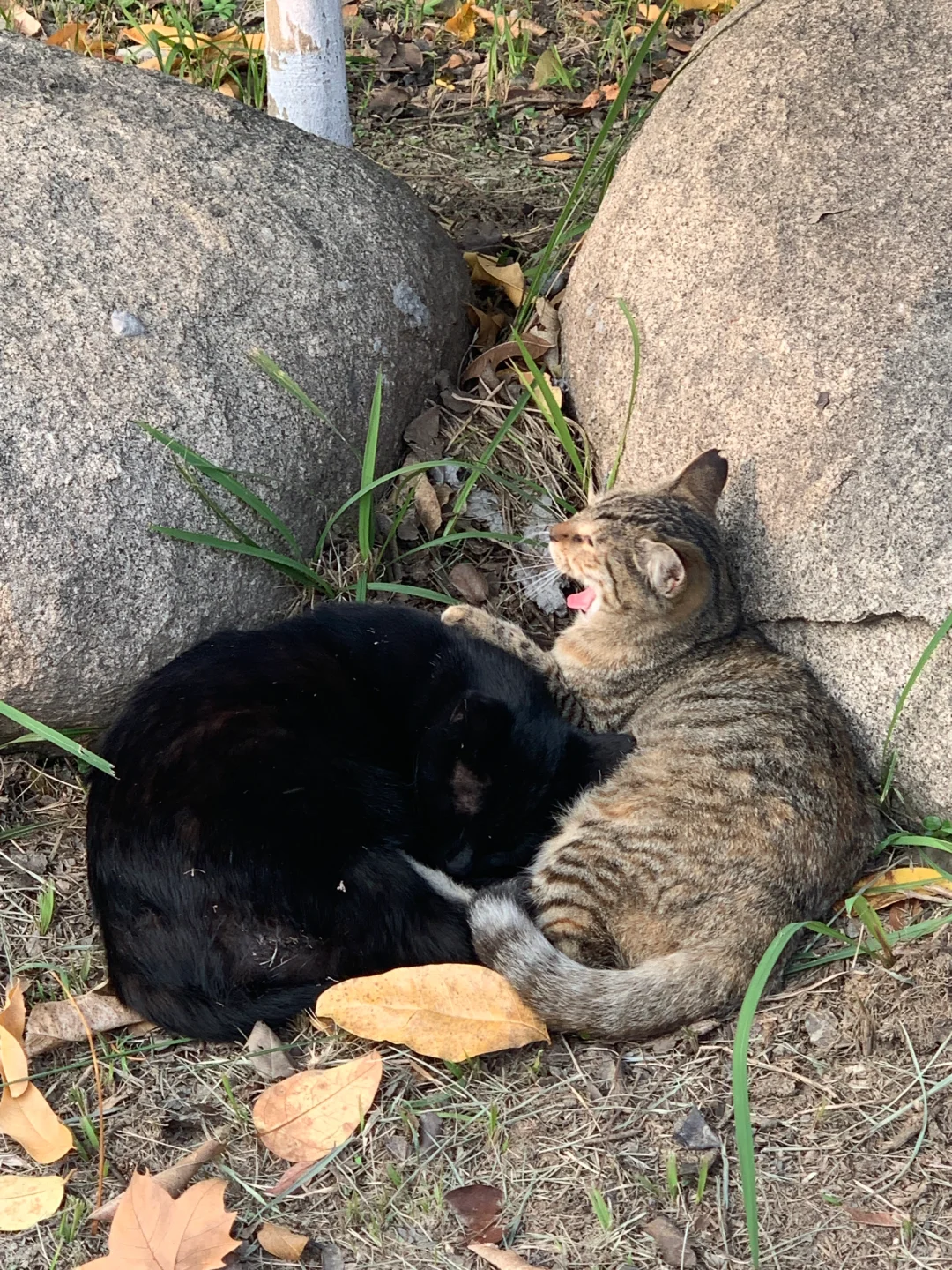 女大学生周末无聊的一天