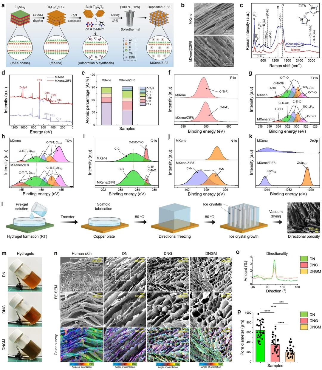 皮肤仿生光疗冷冻凝胶：促进感染伤口修复