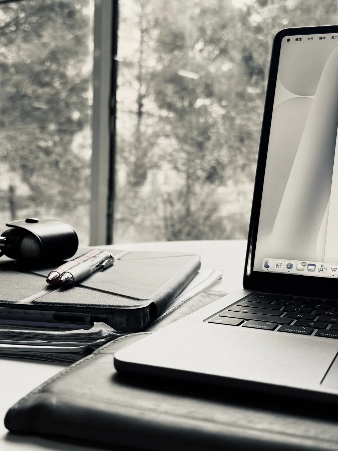 喜欢“阳光”的图书馆