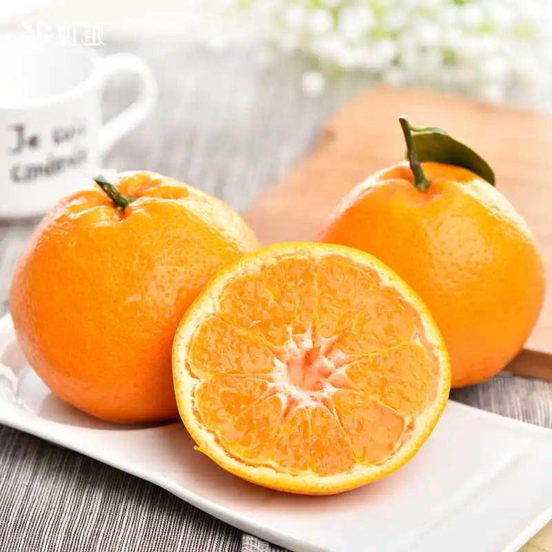 ?果树综合太好养！新手也能种！