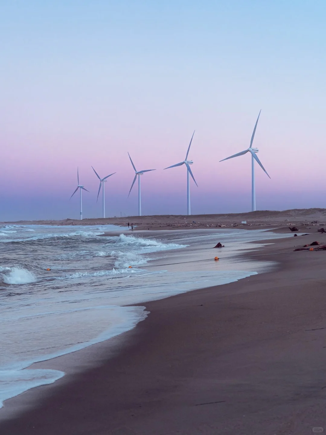 ☀️国际清洁能源日｜ZOO的100个自然日?