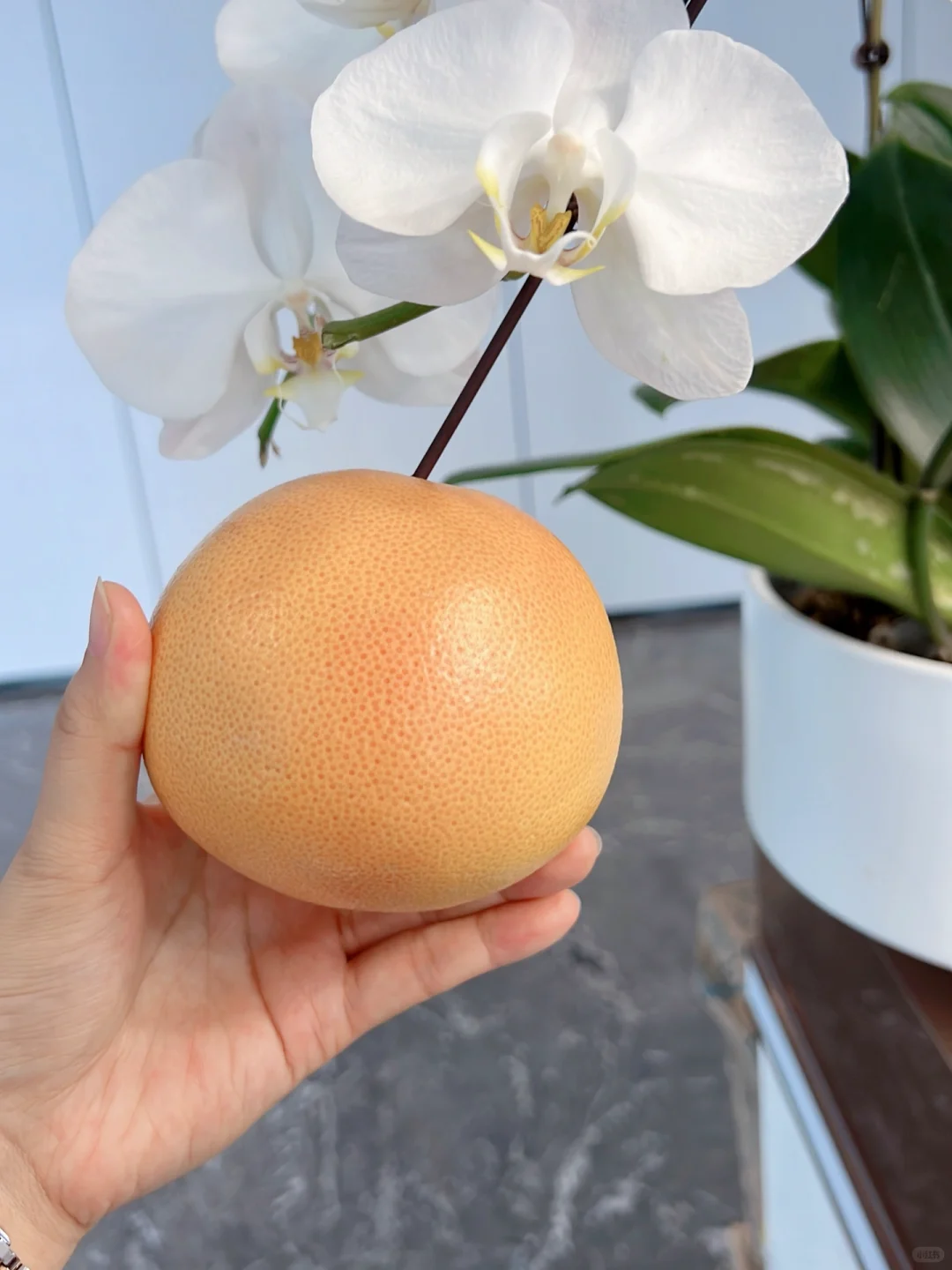 公司绿植?结果啦?