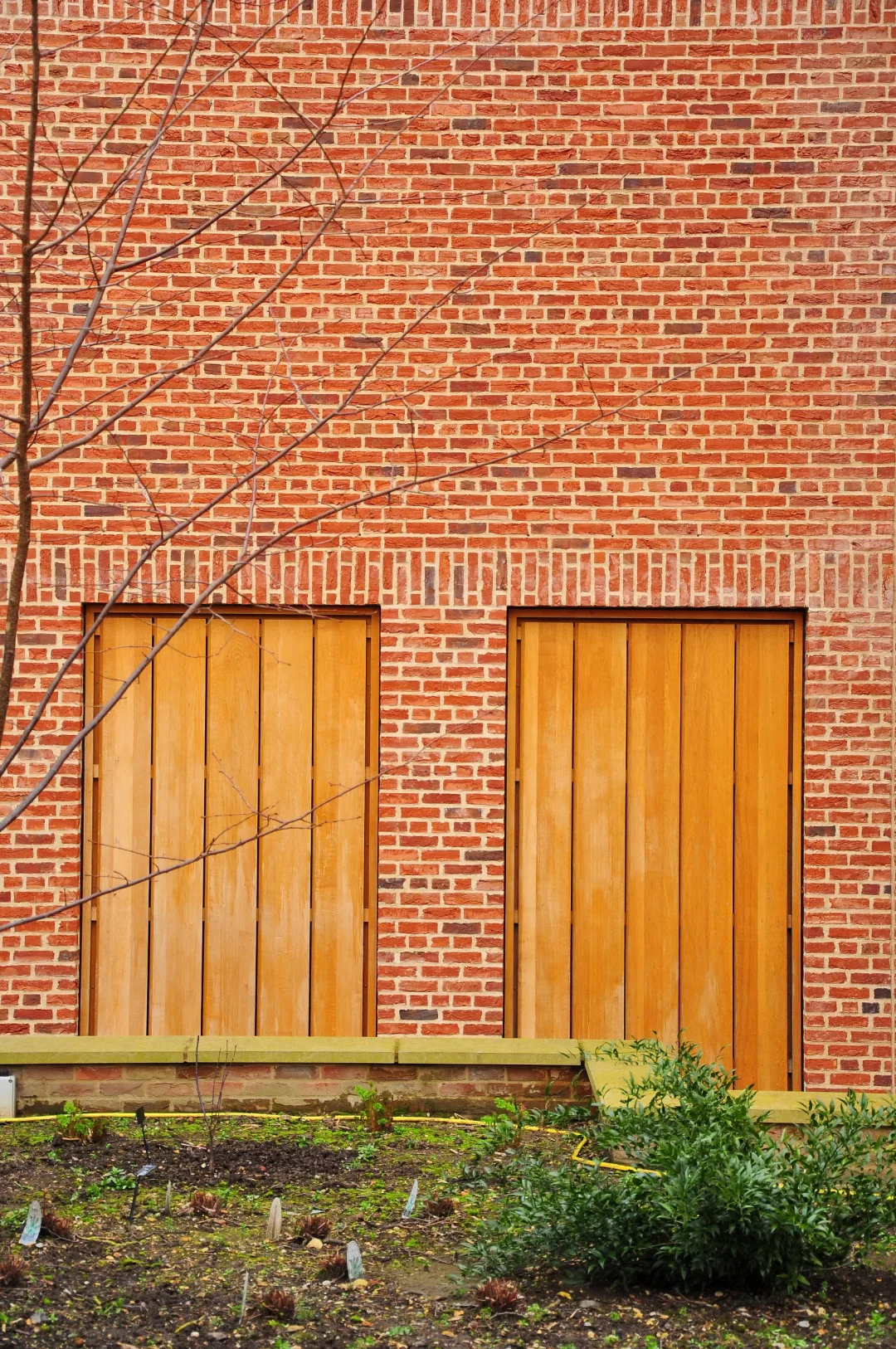 从剑桥大学新红砖图书馆去重新看待陶磊翻车