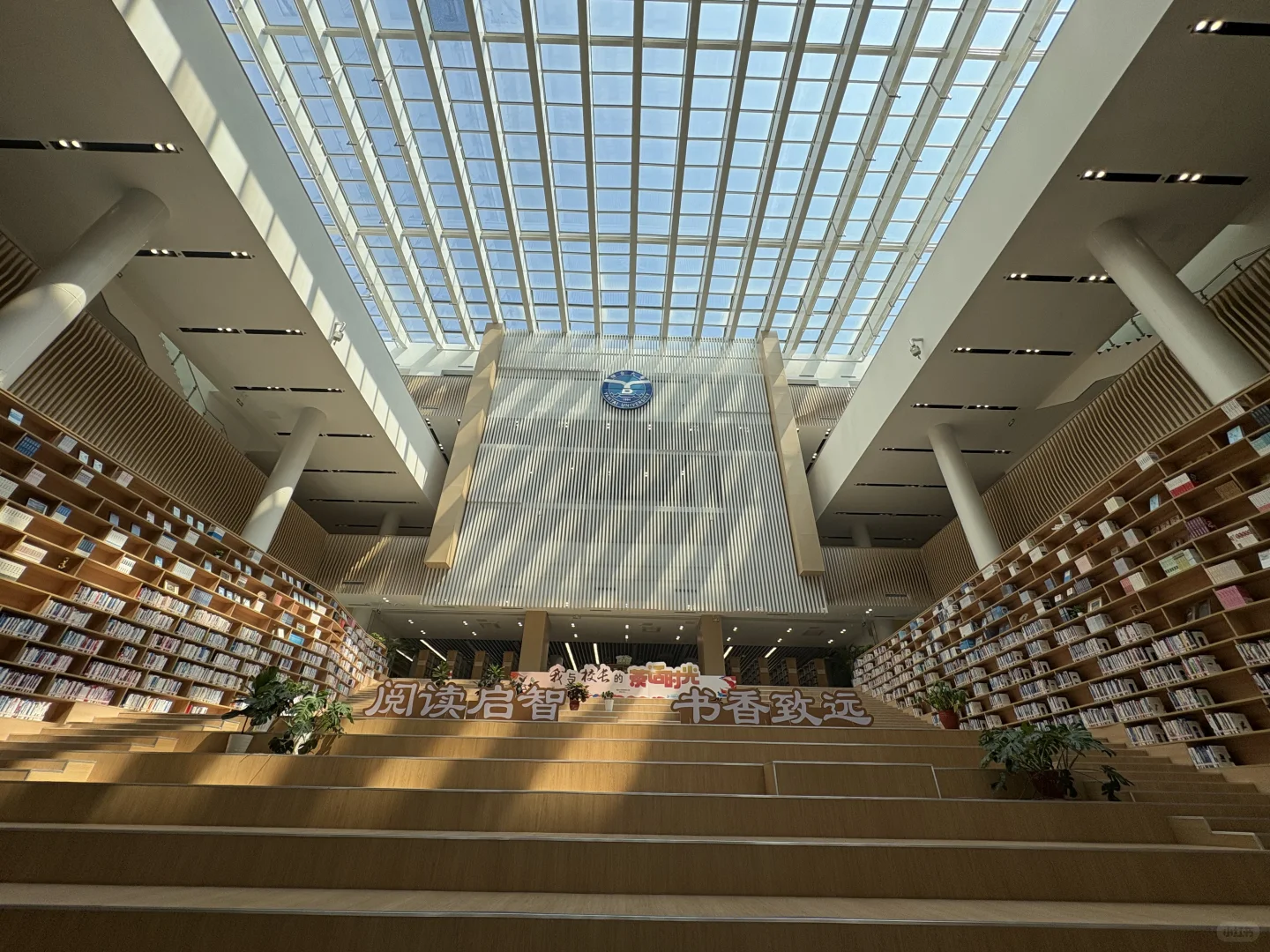 烟大图书馆好气派