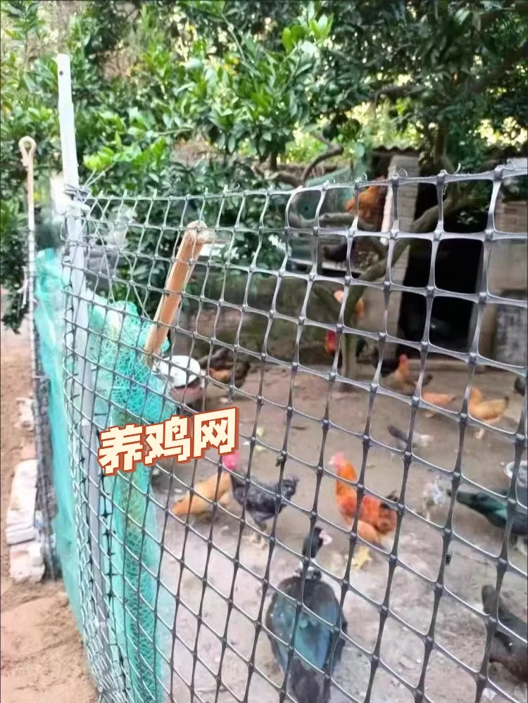 圈地养殖围栏网