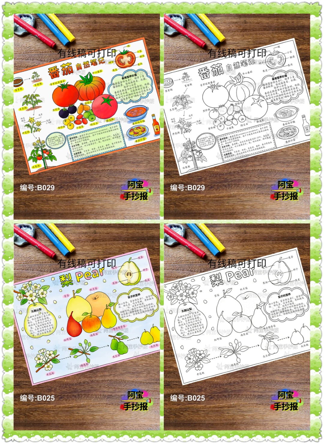 蔬菜水果类的自然笔记手抄报合集