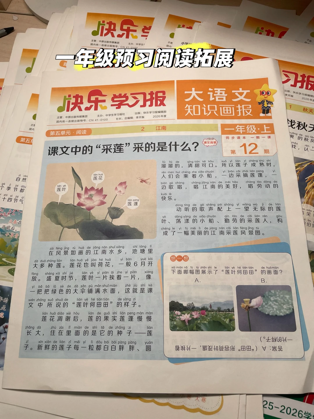 一年级小学生 语文阅读拓展