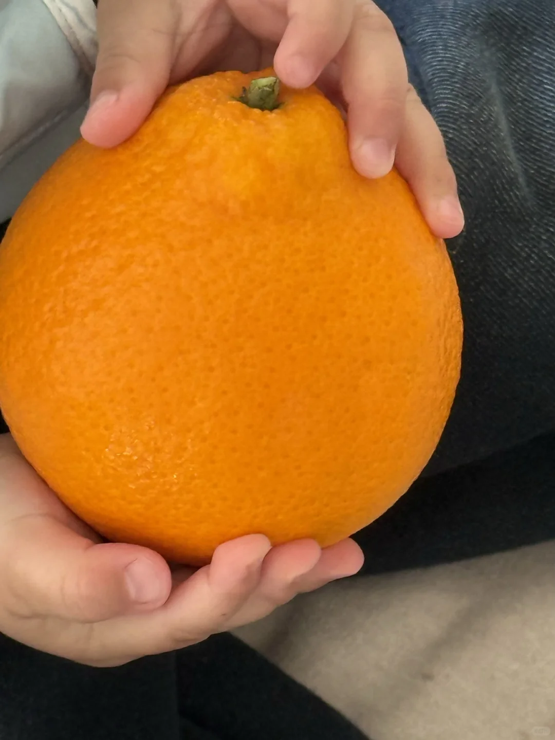 助农人在线蹲！！