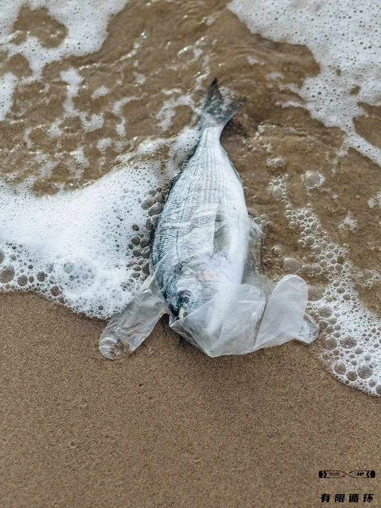 保护海洋，从小事做起！