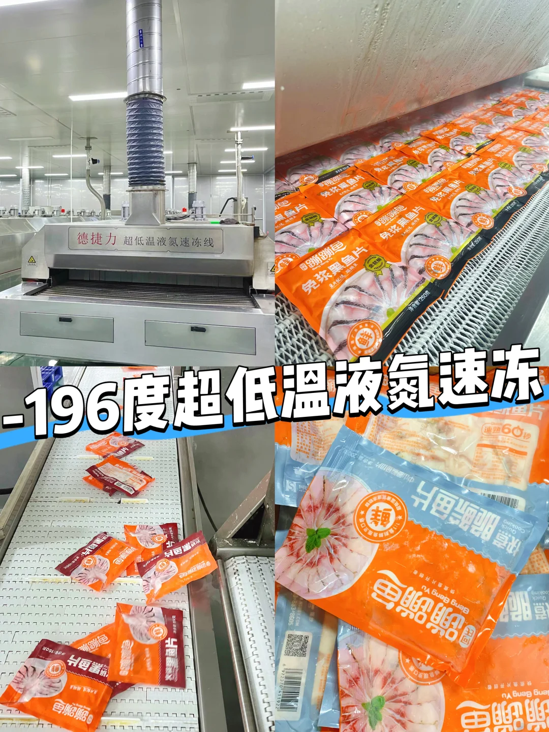 采购黑鱼片怕踩雷？我发现源头宝藏工厂了！