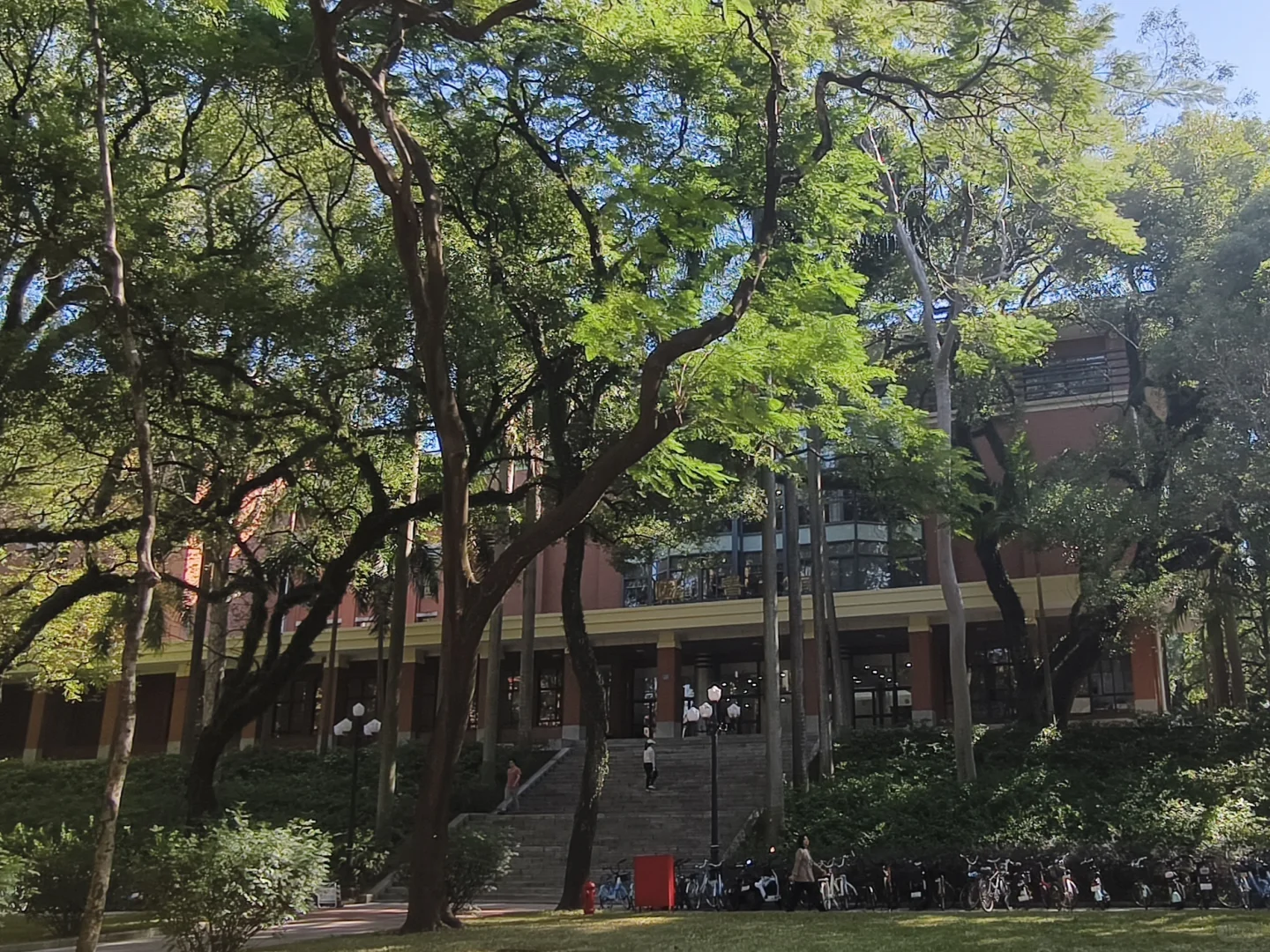 漫卷·象牙塔：中山大学 | 图书馆