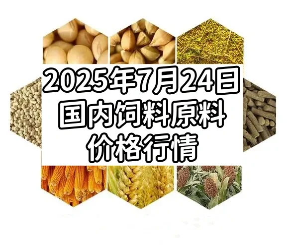 2025年7月24日国内饲料原料价格行情