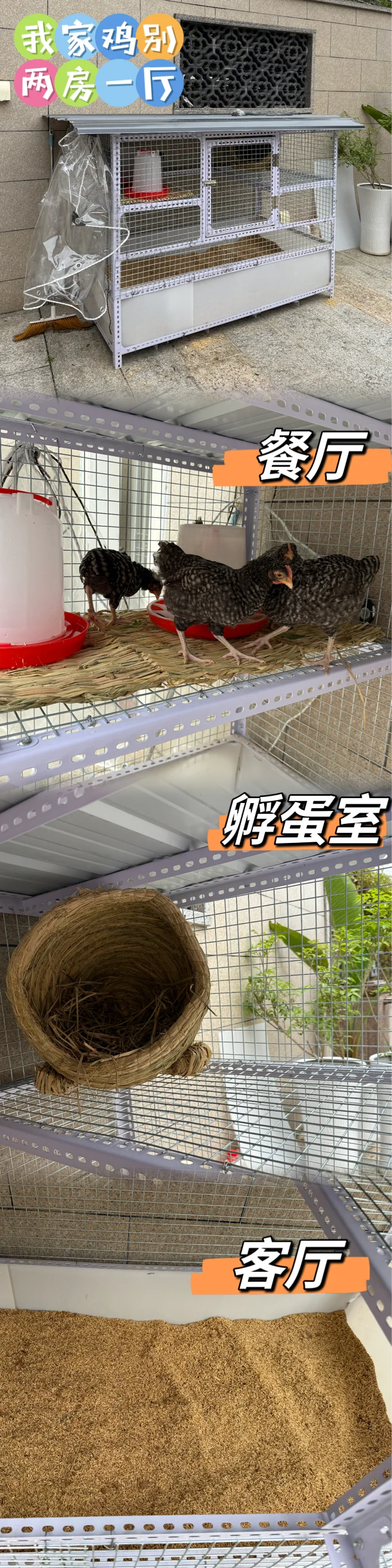 自制鸡舍 发酵床