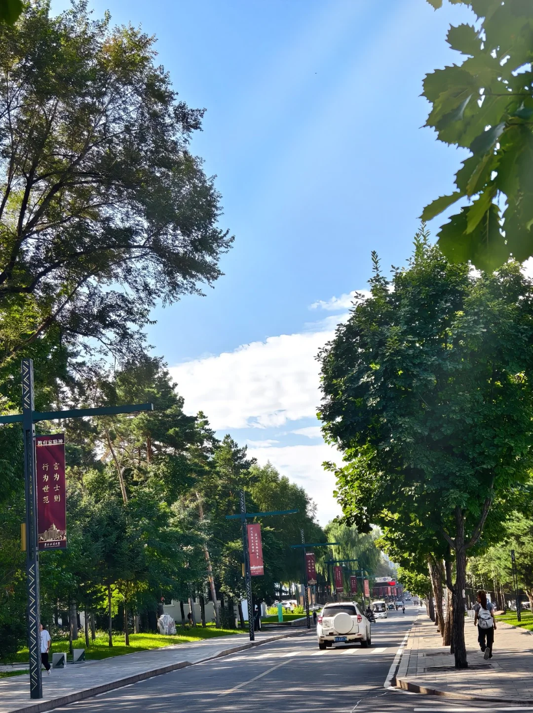 不是打击哈尔滨体制内，但是考东北林业大学